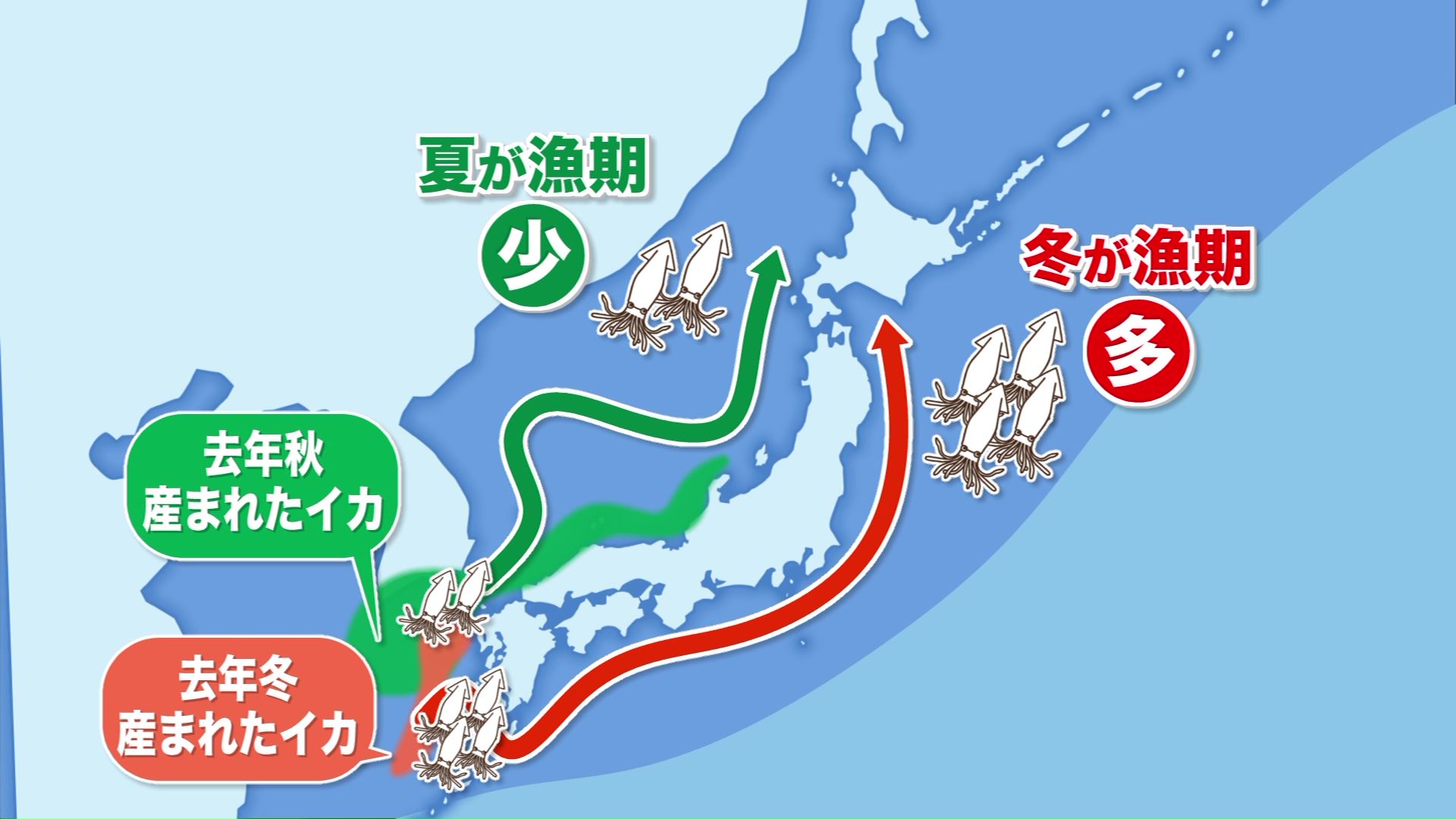 2026年の水揚げは秋ごろに回復の可能性も